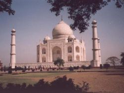 taj1